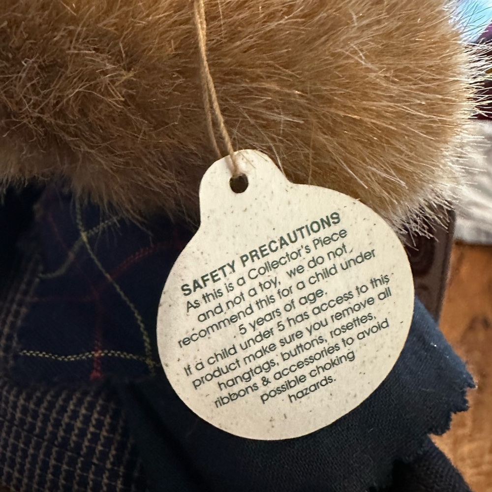 Boyds Bears 91009 Sally Quignappel with Annie Rag Doll - Picture 8 of 11